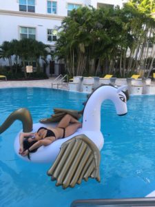 pool, pegasus, floaty, life-size, summertime, south florida
